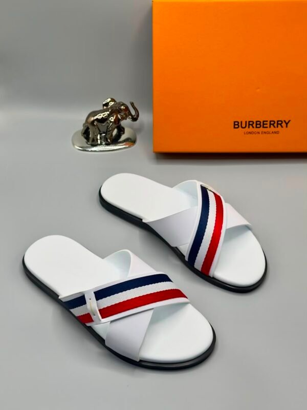 root A pair of white slides with red and blue stripes, next to an orange Burberry box and a small elephant statue.